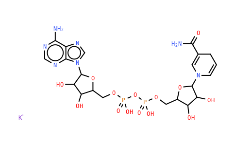 104809-32-7 | β-Nicotinamide adenine dinucleotide, reduced dipotassium salt
