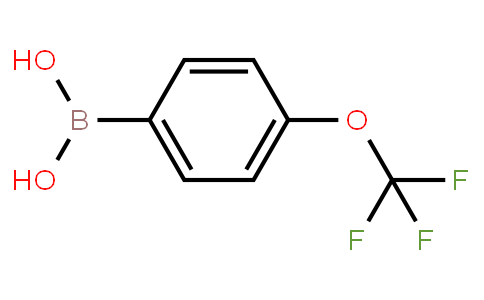 136465 | 139301-27-2 | (4-(Trifluoromethoxy)phenyl)boronic acid