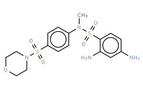 177159-47-6 | N-METHYL-N-[(MORPHOLIN-4-YL)SULFOPHENYL]-2,4-DIAMINO-BENZENESULFONAMIDE