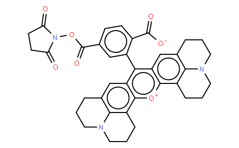 136589 | 216699-36-4 | 6-CARBOXY-X-RHODAMINE N-SUCCINIMIDYL ESTER