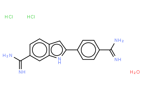 136381 | 28718-90-3 | 4',6-DIAMIDINO-2-PHENYLINDOLE DIHYDROCHLORIDE N-HYDRATE