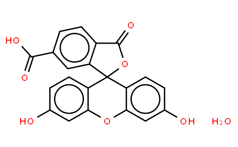 136585 | 3301-79-9 | 6-Carboxy-fluorescein