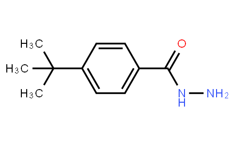 43100-38-5 | 4-Tert-Butylbenzhydrazide