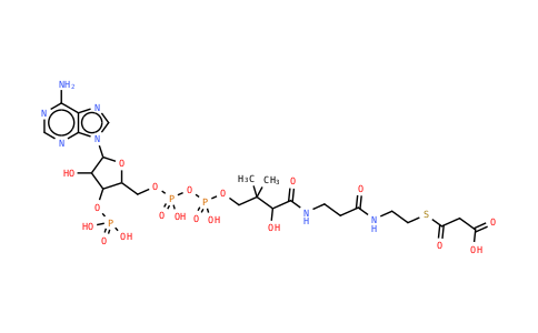 524-14-1 | Malonyl-CoA (sodium salt)