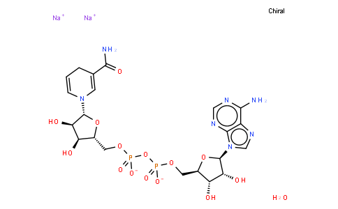 606-68-8 | Nicotinamide adenine dinucleotide (reduced) disodium salt(NADH 2Na)