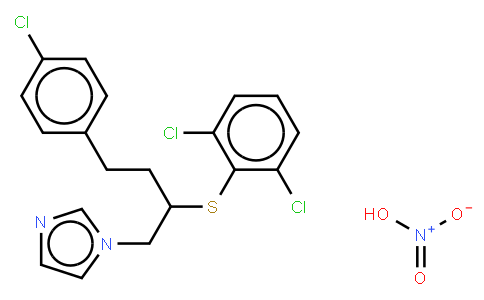 64872-77-1 | Butoconazole nitrate