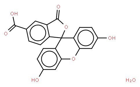 110609 | 76823-03-5 | 5-Carboxy-fluorescein