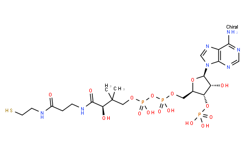 85-61-0 | Coenzyme A