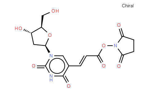 869355-24-8 | (E)-5-[2-CARBOXYVINYL]-2'-DEOXYURIDINE NHS ESTER