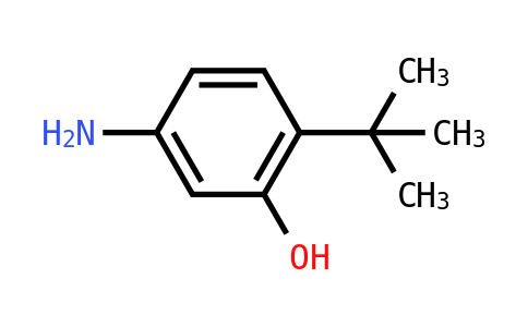 100321 | 873055-35-7 | 5-Amino-2-(tert-butyl)phenol