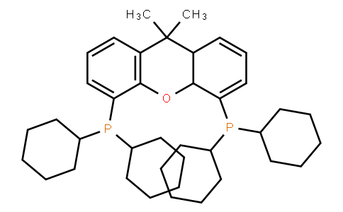 137159 | 940934-47-4 | 4,5-Bis(dicyclohexylphosphino)-9,10a-dihydro-9,9-dimethyl-8aH-xanthene
