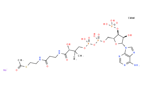 BB10048 | 102029-73-2 | Acetyl coenzyme A sodium salt