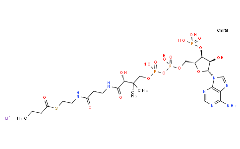 102282-28-0 | Butyryl Coenzyme A lithium salt