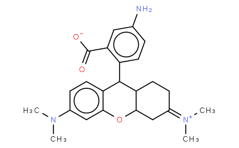 BB10274 | 167095-10-5 | 5-AminoTAMRA *Single Isomer* [5-Aminotetramethylrhodamine]