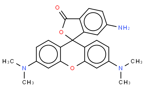 80724-18-1 | 6-AminoTAMRA *Single Isomer* [6-Aminotetramethylrhodamine]