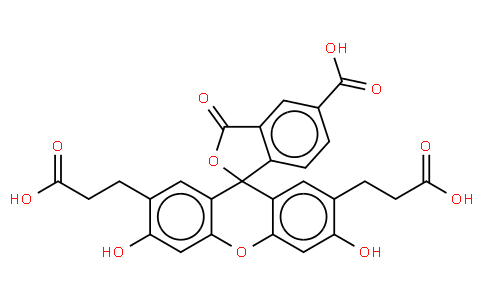 85138-49-4 | BCECF acid [2',7-Bis-(2-Carboxyethyl)-5(6)-carboxyfluorescein]