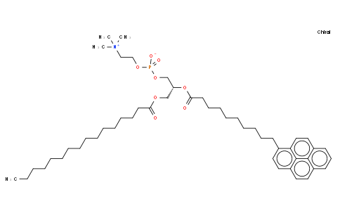 95864-17-8 | β-Py-C10-HPC  [1-Hexadecanoyl-2-(1-Pyrenedecanoyl)-sn-Glycero-3-Phosphocholine]