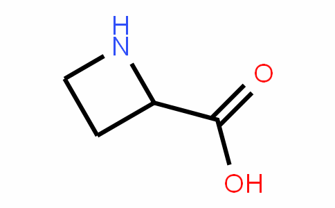 Azetidine-2-Carboxylic acid