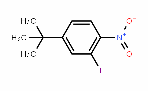 4-(tert-butyl)-2-iodo-1-nitrobenzene