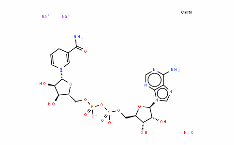 Nicotinamide adenine dinucleotide (reduced) disodium salt
(NADH 2Na)