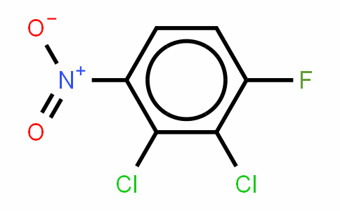 2,3-二氯-4-氟硝基苯