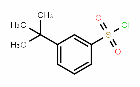 3-叔-丁基苯磺酰氯