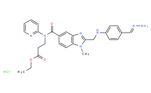 N-[[2-[[[4-(Aminoiminomethyl)phenyl]amino]methyl]-1-methyl-1H-benzimidazol-5-yl]carbonyl]-N-(2-pyridinyl)-beta-alanine ethyl ester hydrochloride