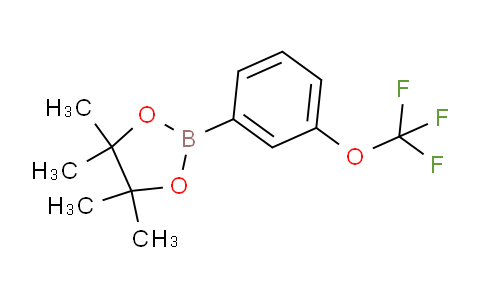 3-Trifluoromethoxyphenylboronic acid pinacol ester