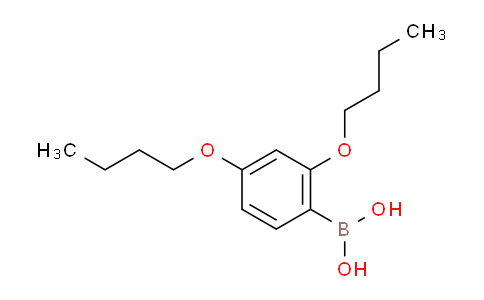 2,4-二丁氧基苯硼酸
