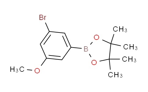3-溴-5-甲氧基苯基硼酸频呐醇酯