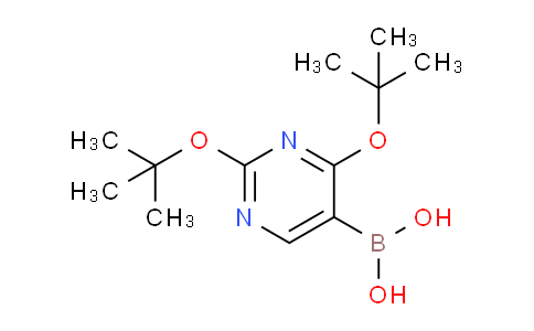 2,4-二叔丁氧基嘧啶-5-硼酸