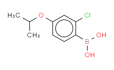 2-氯-4-异丙基苯硼酸