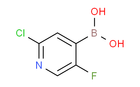 2-氯-5-氟吡啶-4-硼酸