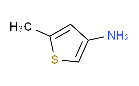5-甲基噻吩-3-胺