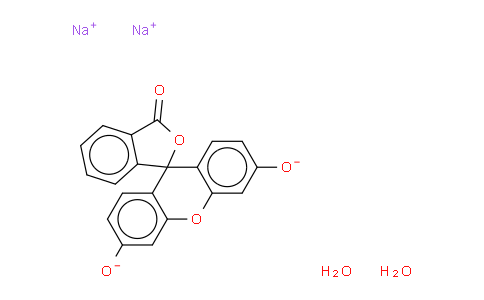 Fluorescein Sodium Salt
