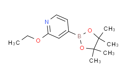 2-乙氧基-4-(4,4,5,5-四甲基-1,3,2-二氧杂环戊硼烷-2-基)吡啶