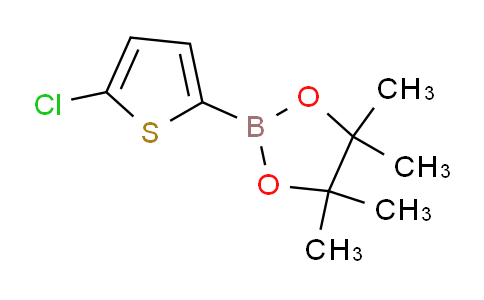 5-氯噻吩-2-硼酸频哪醇酯