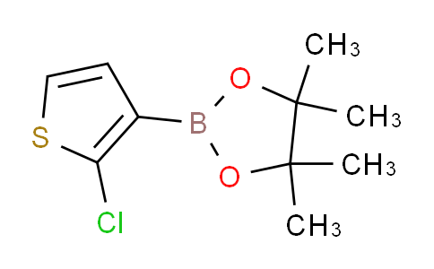 2-(2-chlorothiophen-3-yl)-4,4,5,5-tetramethyl-1,3,2-dioxaborolane