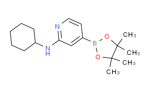 2-(环己基)-氨基-4-硼酸