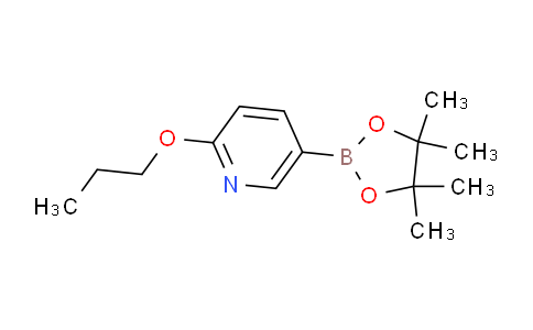 2-正丙基-5-吡啶硼酸酯