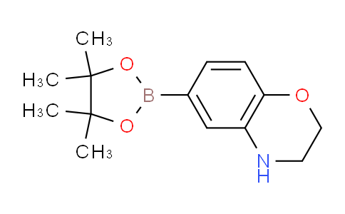 6-(4,4,5,5-tetramethyl-1,3,2-dioxaborolan-2-yl)-3,4-dihydro-2H-benzo[b][1,4]oxazine