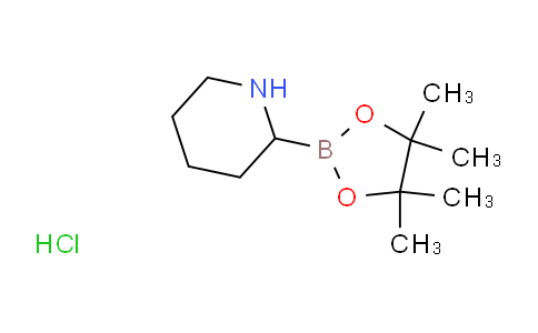 2-(4,4,5,5-tetramethyl-1,3,2-dioxaborolan-2-yl)piperidine hydrochloride