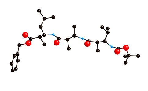 Overview of Peptide