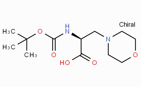 Boc-3-(1-Morpholinyl)-L-Ala-OH