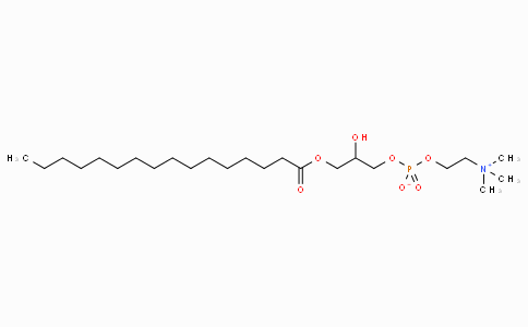 1-Palmitoyl-rac-glycero-3-phosphocholine