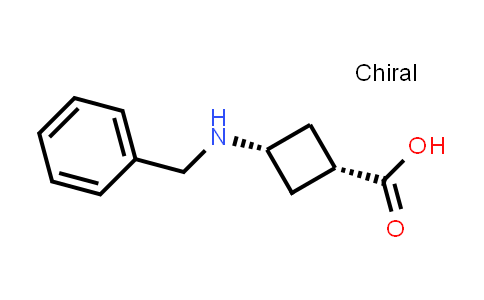 cis-3-(Benzylamino)cyclobutanecarboxylic acid