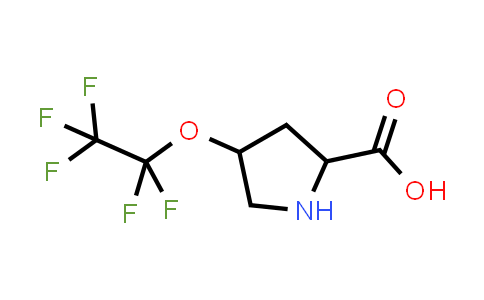 4-(Perfluoroethoxy)pyrrolidine-2-carboxylic acid