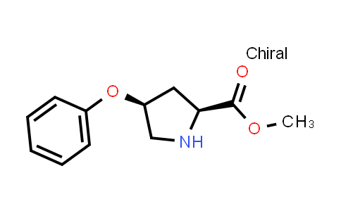 (2S,4S)-Methyl 4-phenoxypyrrolidine-2-carboxylate