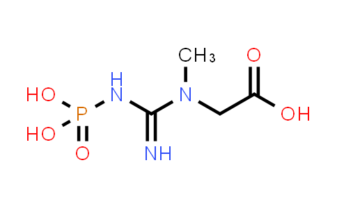 2-(1-Methyl-3-phosphonoguanidino)acetic acid