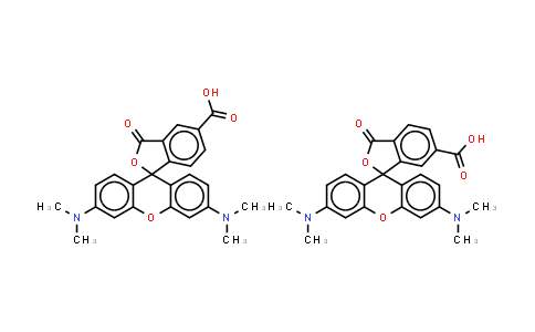 5(6)-Carboxy tetramethyl rhodamine;